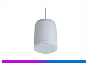 防水吊球扬声器 （10W）